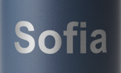 Arial Bold